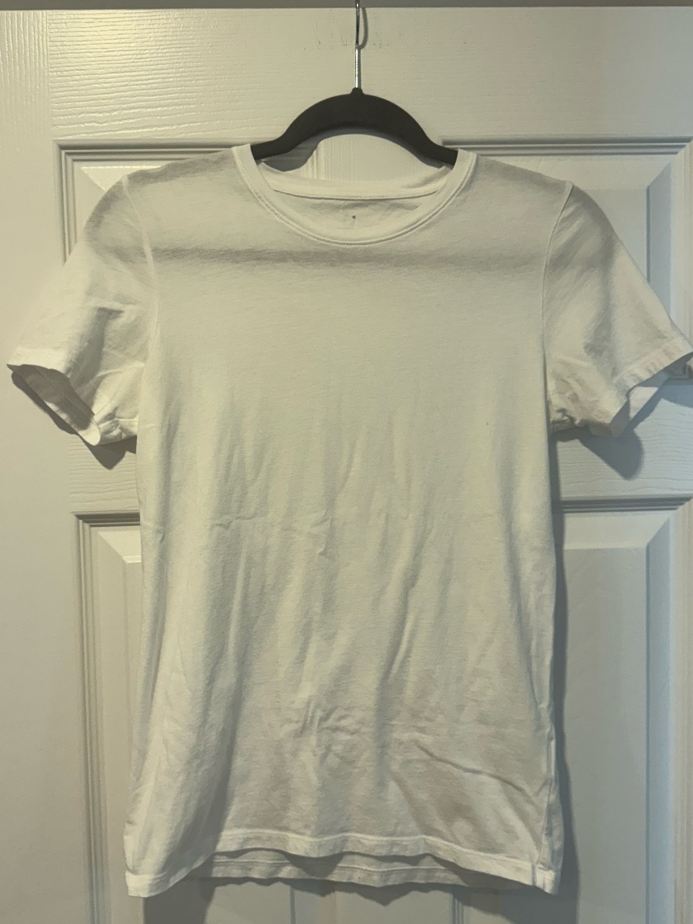 Everlane The Organic Cotton Crew Tee